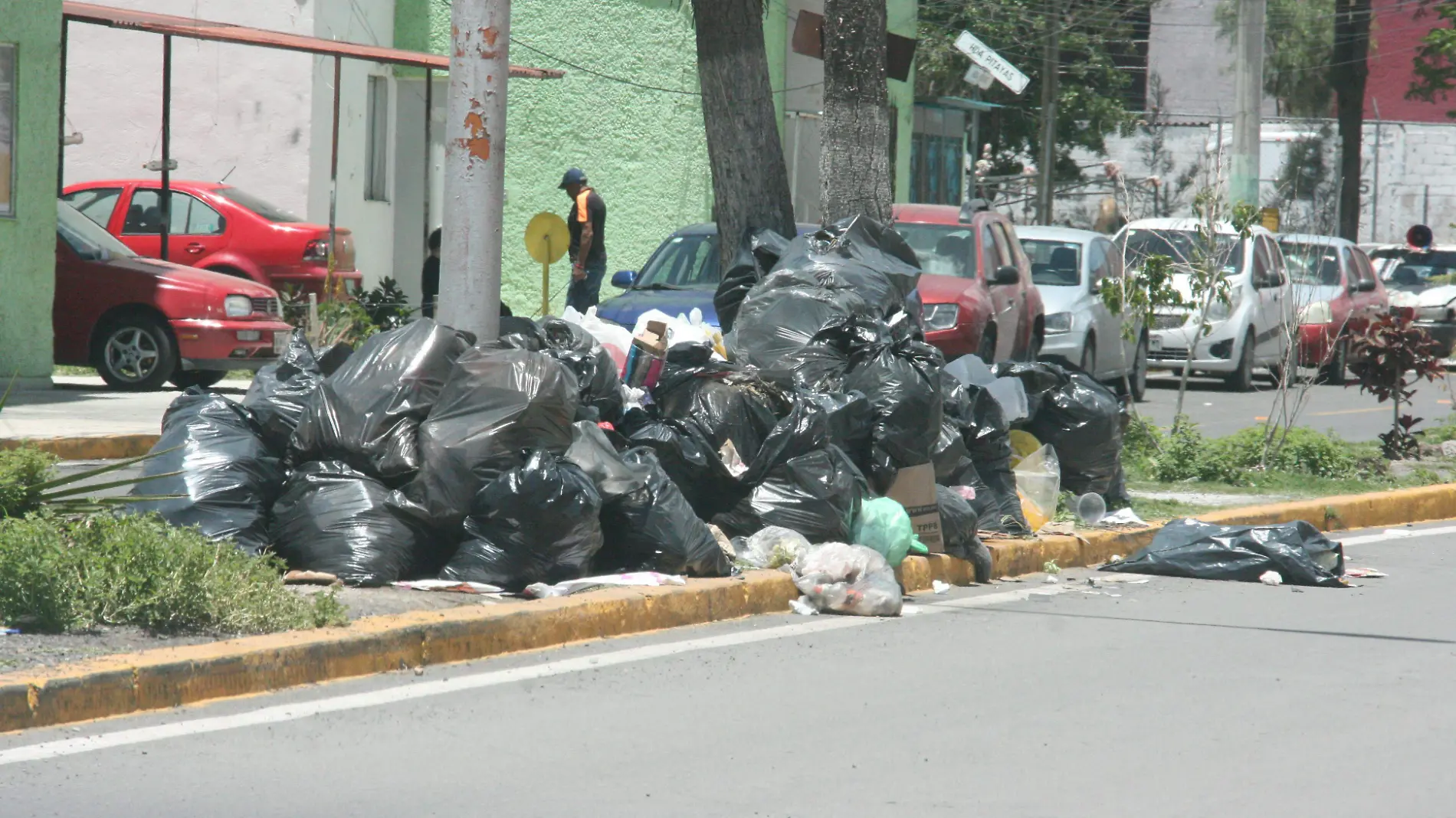 BASURA F D L VEGA (2)